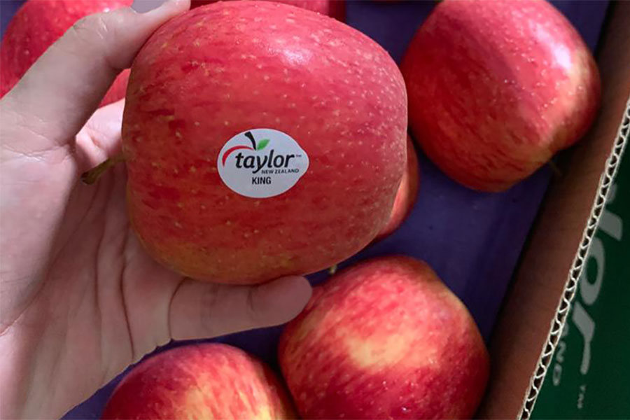 Taylor Corp King Apple