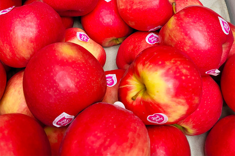 Varieties Taylor Corp, Hawke's Bay Apples, Orchard, Exporters